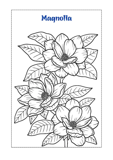 libro para colorear de flores