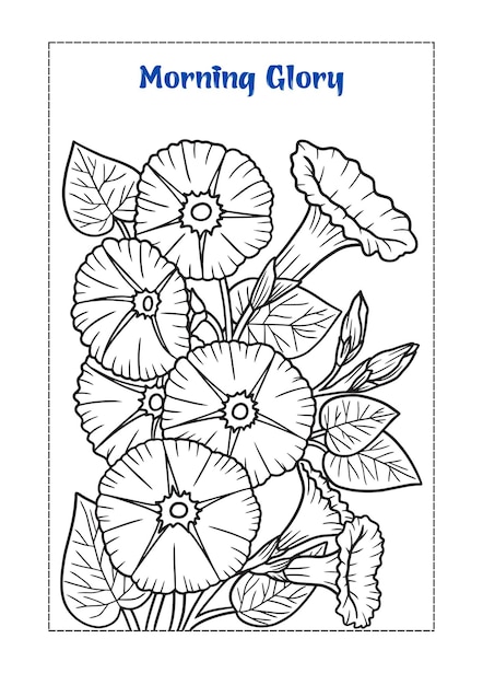 libro para colorear de flores