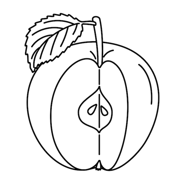 Libro de colorear de frutas dibujado a mano