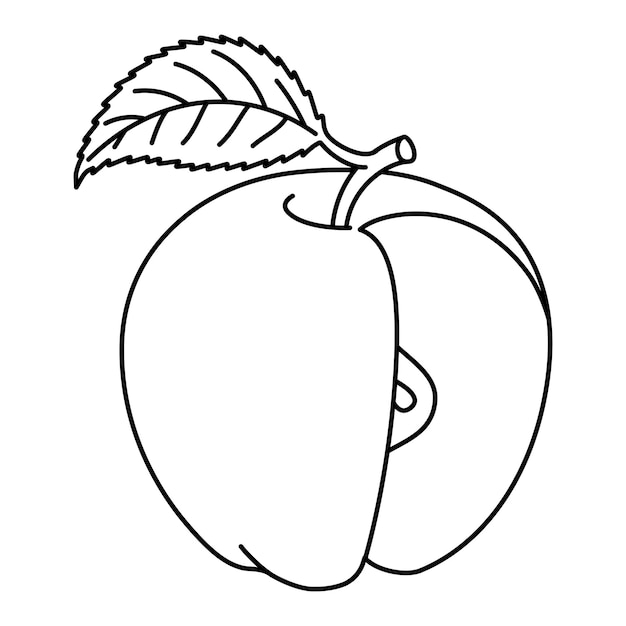 Libro de colorear de frutas dibujado a mano