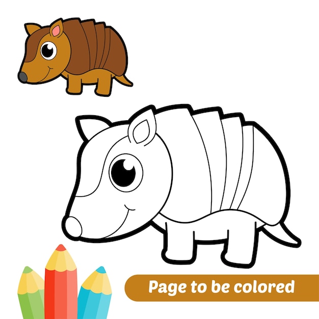 Libro para colorear para niños armadillo vector