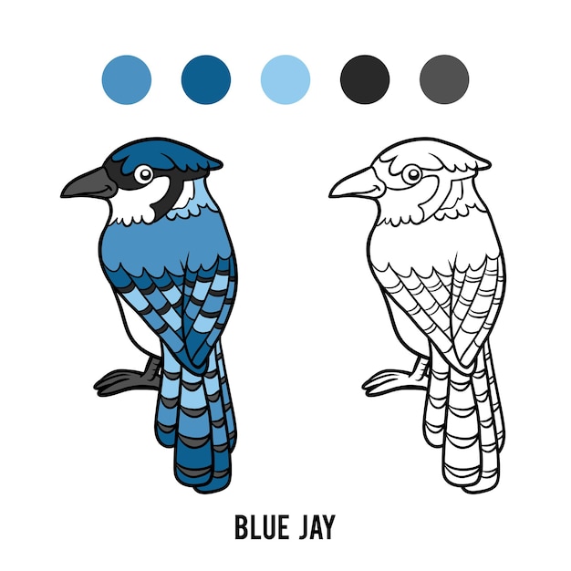 Vector libro de colorear para niños, blue jay