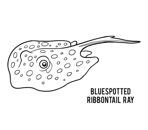 Libro de colorear para niños, bluespotted ribbontail ray