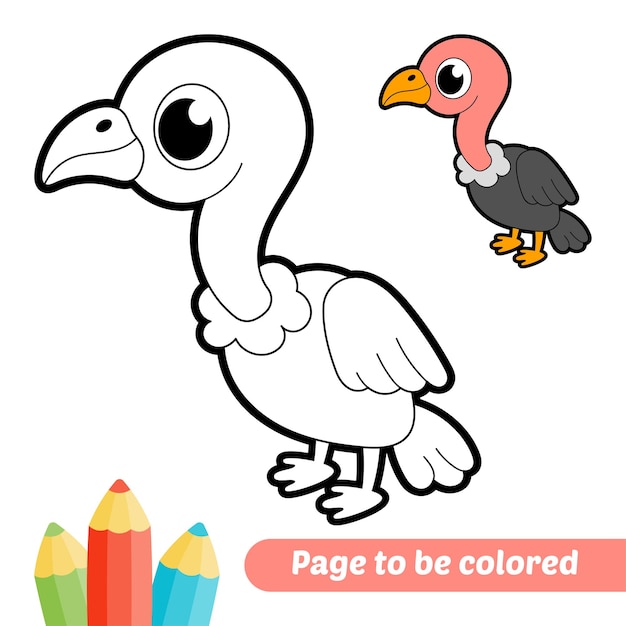 Libro para colorear para niños buitre vector