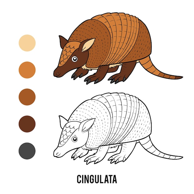 Libro para colorear para niños Cingulata