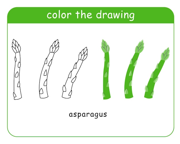Libro para colorear para niños espárragos en color y en blanco y negro