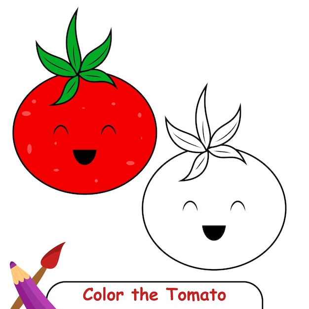 Libro para colorear para niños, gráficos vectoriales de tomate