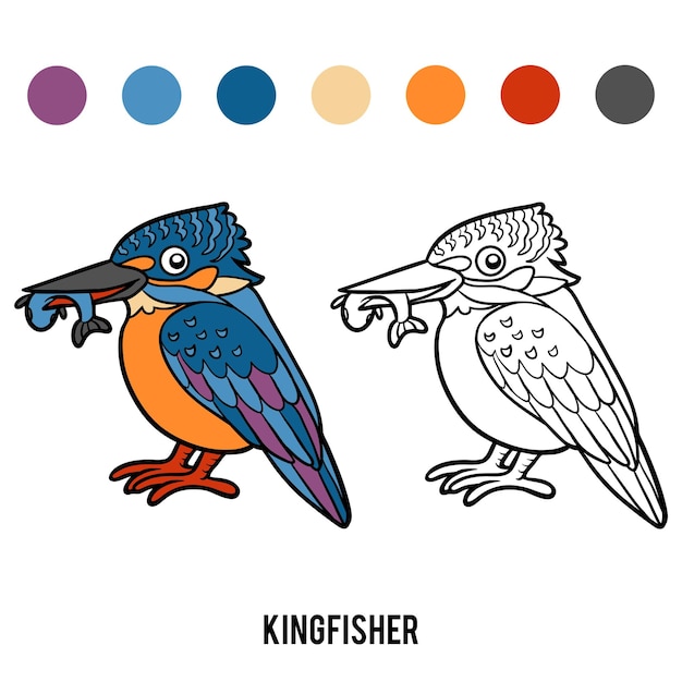 Libro de colorear para niños, kingfisher