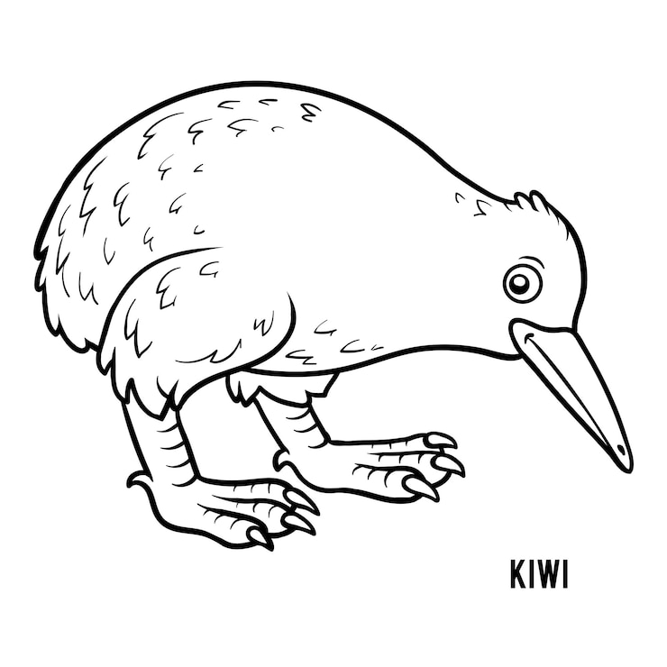 Vector libro de colorear para niños, kiwi
