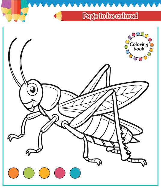 Libro de colorear para niños saltamontes