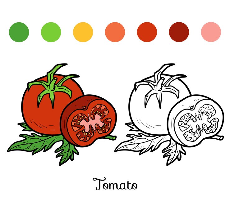 Vector libro de colorear para niños, tomate