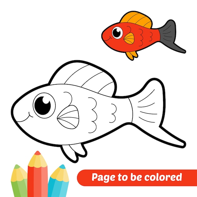 Libro para colorear para niños vector de pez cola de espada
