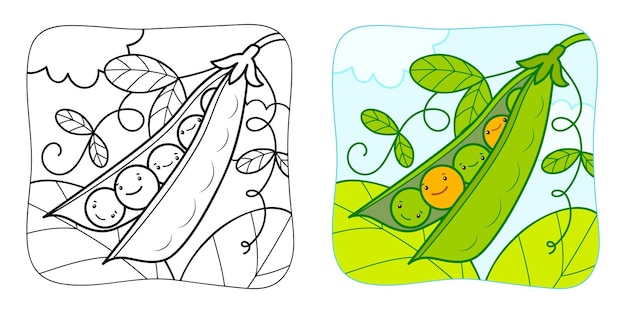 Libro para colorear o página para colorear para niños Guisantes vector clipart Fondo de la naturaleza