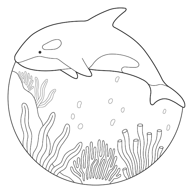 Libro de colorear de Orca