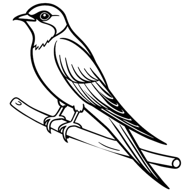 libro de colorear pájaro de la golondrina página de arte vectorial ilustración fondo blanco sólido 28