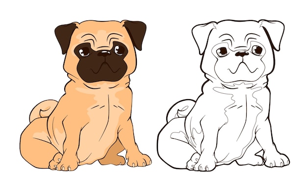 Libro para colorear pequeño cachorro pug divertido con orejas caídas se  sienta en sus patas traseras vector | Vector Premium