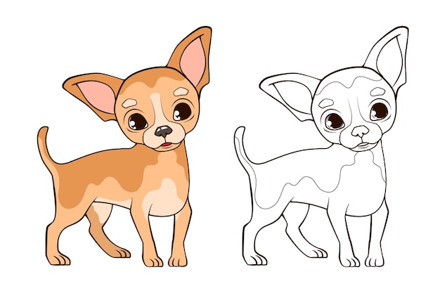 Libro para colorear Pequeño perro chihuahua divertido con orejas grandes se para en patas delgadas Ilustración vectorial