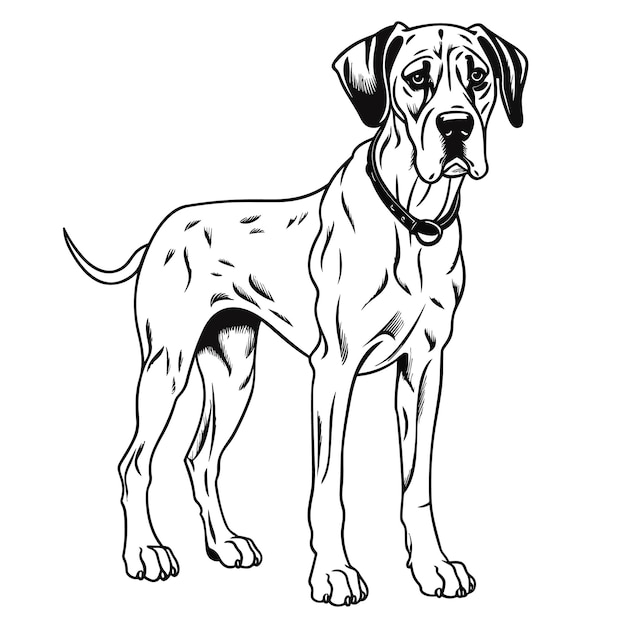 Vector un libro para colorear de perros para niños ilustración vectorial