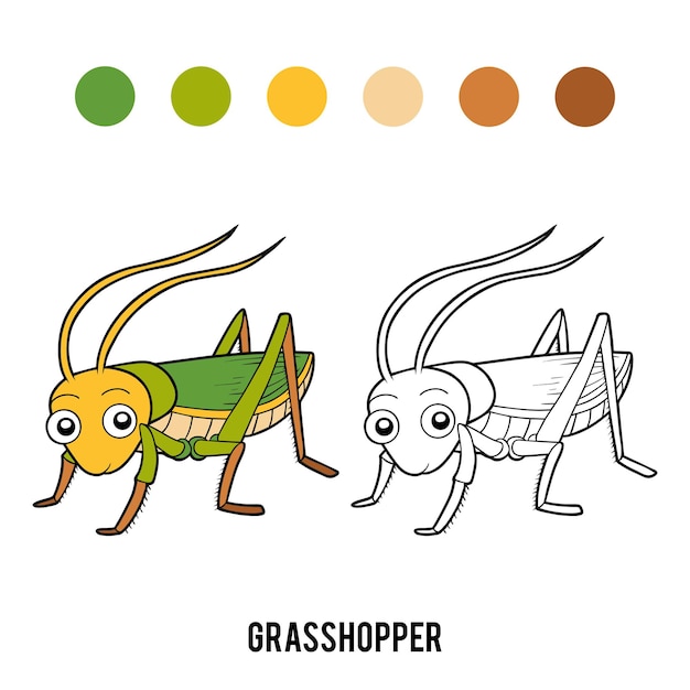 Libro para colorear Saltamontes