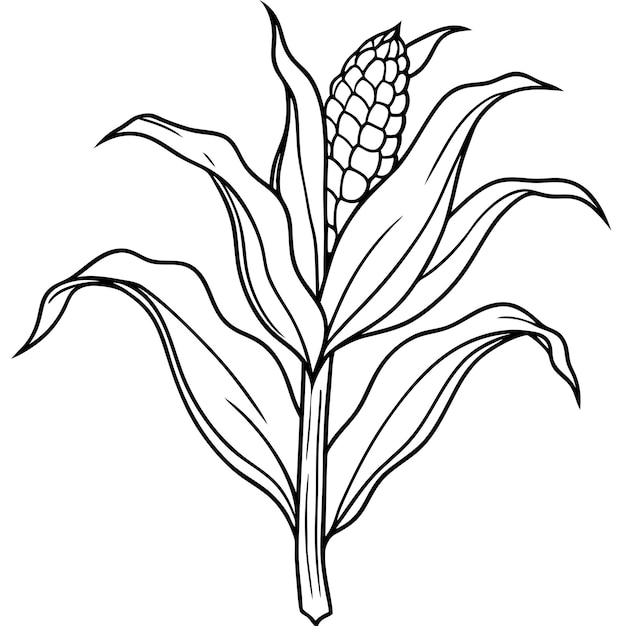 Libro para colorear el tallo del maíz Diseños vibrantes y detallados de tallo y campos de maíz