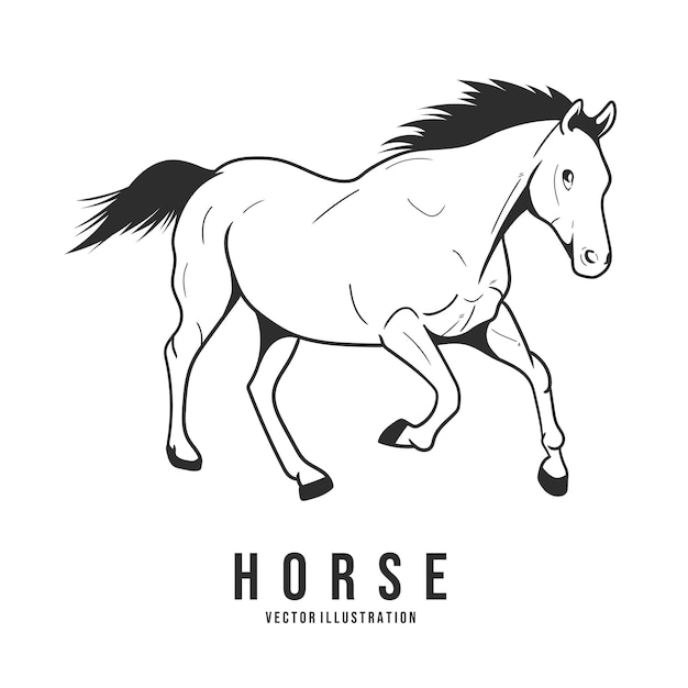 Libro para colorear con un vector de caballo