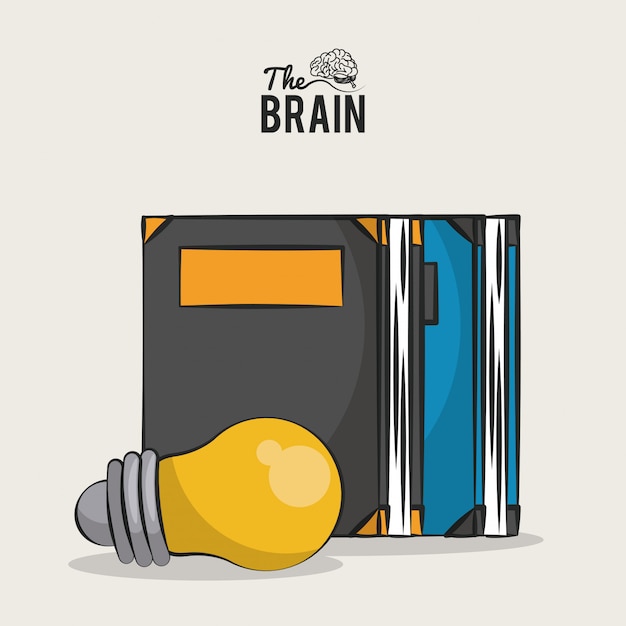 Los libros y el bulbo del cerebro humano