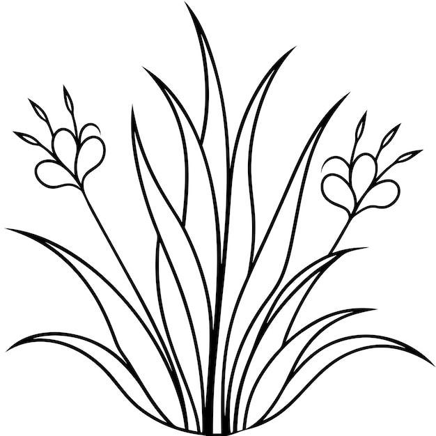 Libros de colorear fáciles para preescolares con hermosas flores de hierba con una linda página de colorear educativa