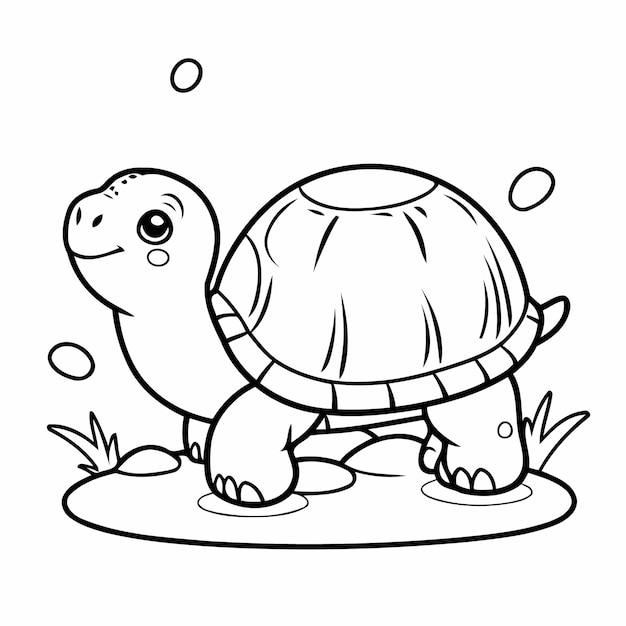 Libros de tortugas simples para niños