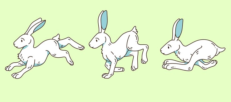 Vector liebre blanca en pose diferente con conjunto de fondo verde