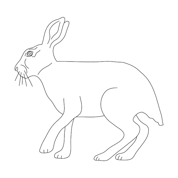 Liebre en estilo de dibujo de arte lineal Ilustración vectorial