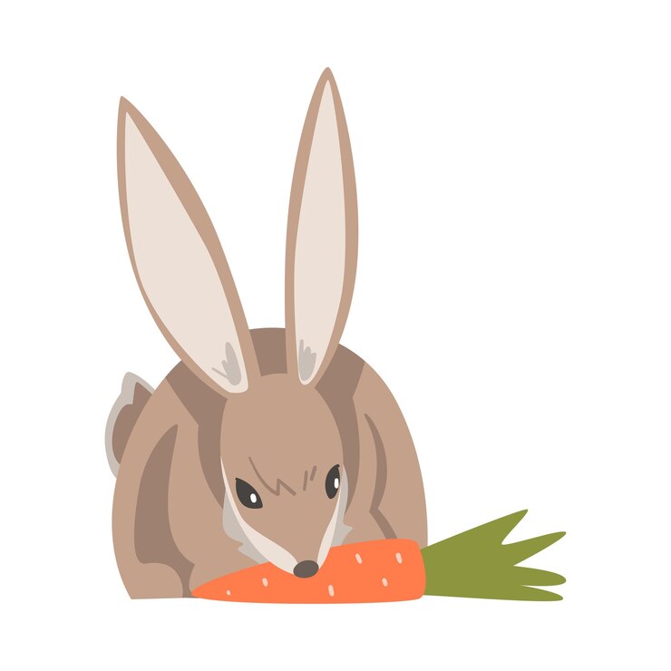 Vector liebre o conejo como animal rápido con orejas largas y pelaje marrón grisáceo rosnando zanahorias ilustración vectorial