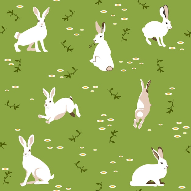 Liebres blancas en un prado verde. Hermosa ilustración vectorial, patrón sin costuras.