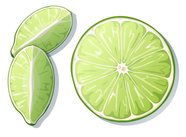 Vector lima fresca cortada aislada sobre fondo blanco cítricos verdes ilustración vectorial de rodaja de lima
