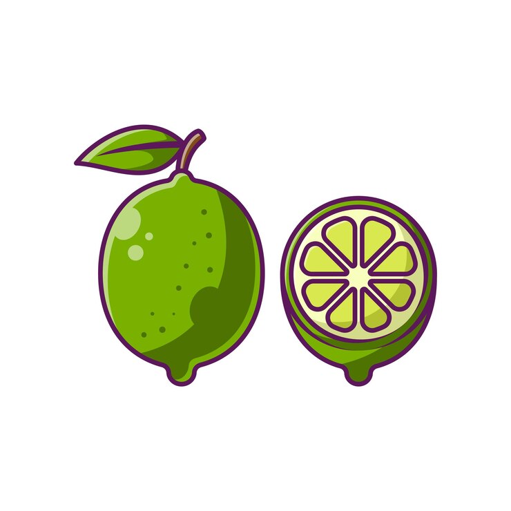 Vector lima fruta dibujos animados vector ilustración diseño frutas ilustración premium aislado