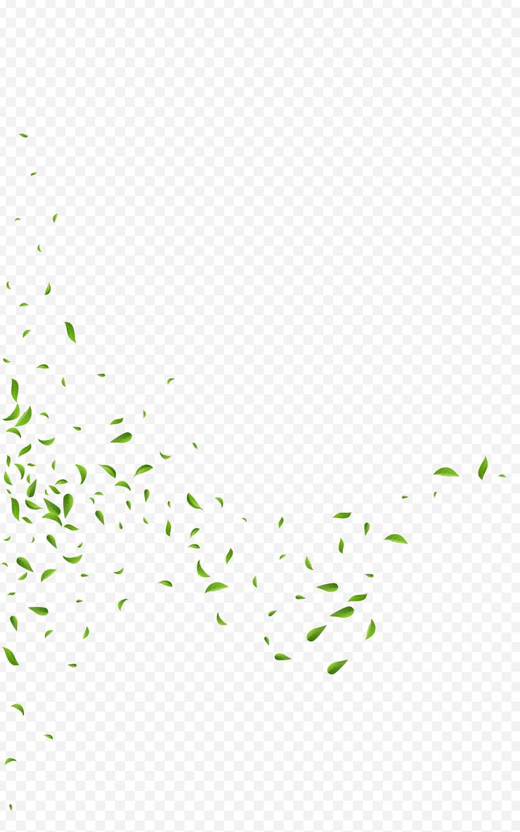 Vector lima verdes vector fresco fondo transparente