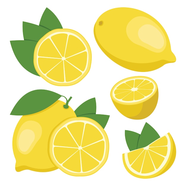 Limón. Colección de frutas de limón enteras y en rodajas.