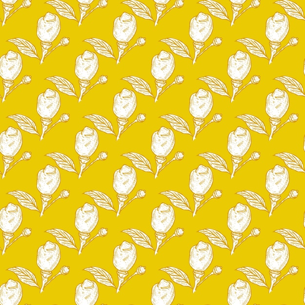 Limón grabado de patrones sin fisuras en una rama con hojas Cal de fondo vintage que crece en una ramita en estilo dibujado a mano Textura de diseño de color repetido vectorial para tela impresa envoltura tejido de papel tapiz