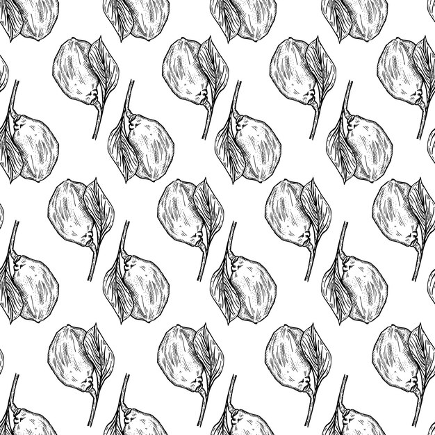 Vector limón grabado de patrones sin fisuras en una rama con hojas cal de fondo vintage que crece en una ramita en estilo dibujado a mano textura de diseño de color repetido vectorial para tela impresa envoltura tejido de papel tapiz