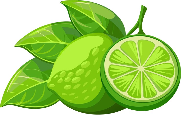 Vector limón kaffir fresco con hojas