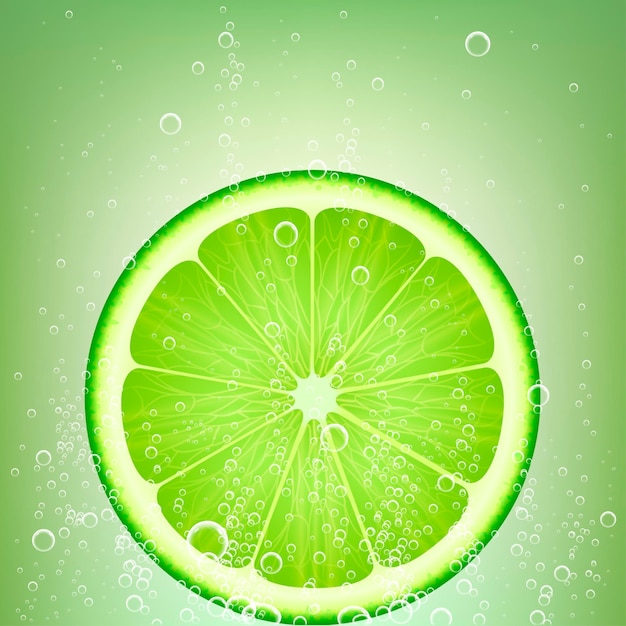 Vector limón limonada