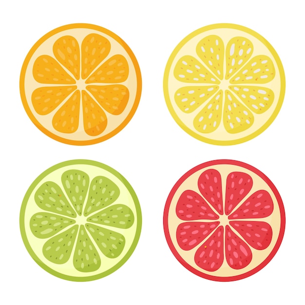 Limón, naranja, pomelo, lima.Conjunto dibujado a mano doodle cítricos ilustración vectorial