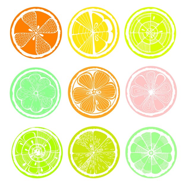Limón naranja y pomelo sobre fondo blanco Cítricos dibujados a mano Gráficos estilizados
