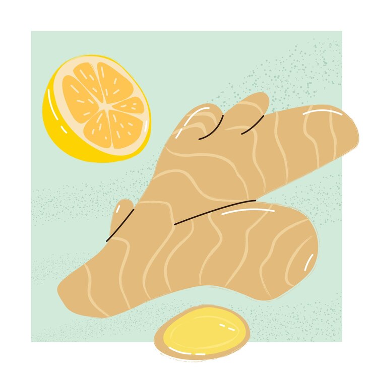 Vector limón y raíz de jengibre ilustración del concepto de tendencia moderna de una bebida vitamínica hecha de limón