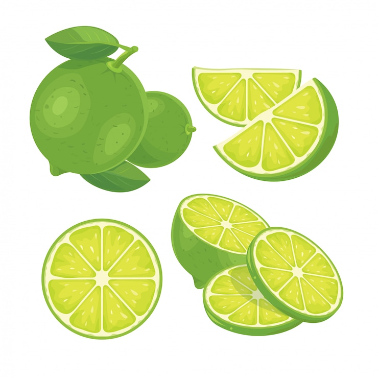 Vector limón verde fresco aislado