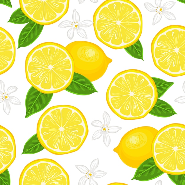 Limones amarillos y flores blancas de patrones sin fisuras