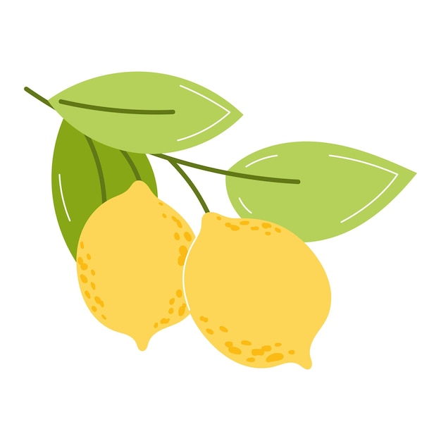 Limones amarillos en una rama con hojas verdes en estilo plano sobre un fondo blanco