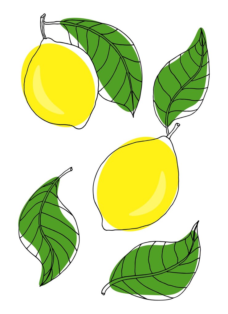 Limones y hojas verdes sobre un fondo blanco.