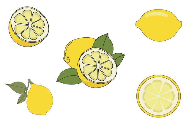 Limones con el vector de contorno de hojas aislados en fondo blanco