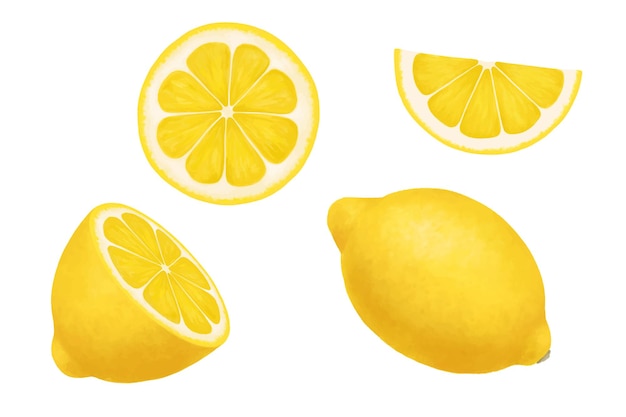 Limones Vector ilustración realista aislada en blanco Mitad entera y rodajas de un limón maduro Conjunto jugoso de cítricos de trozos cortados de frutas frescas agrias con cáscara de color amarillo brillante