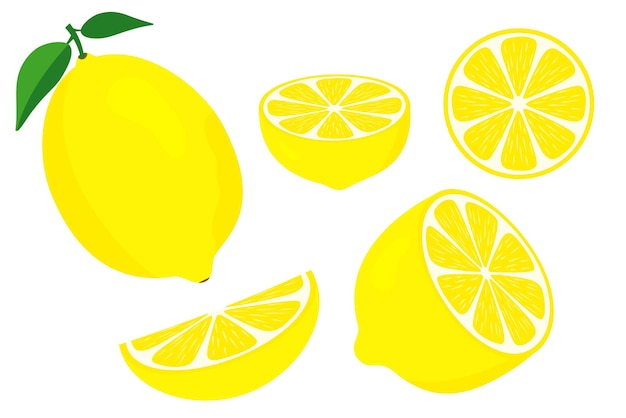 Limones vectoriales. Frutas frescas de limón. Mitad y rodaja de limón con hoja verde. Limón en rodajas. Vitamina C. rodaja de limón